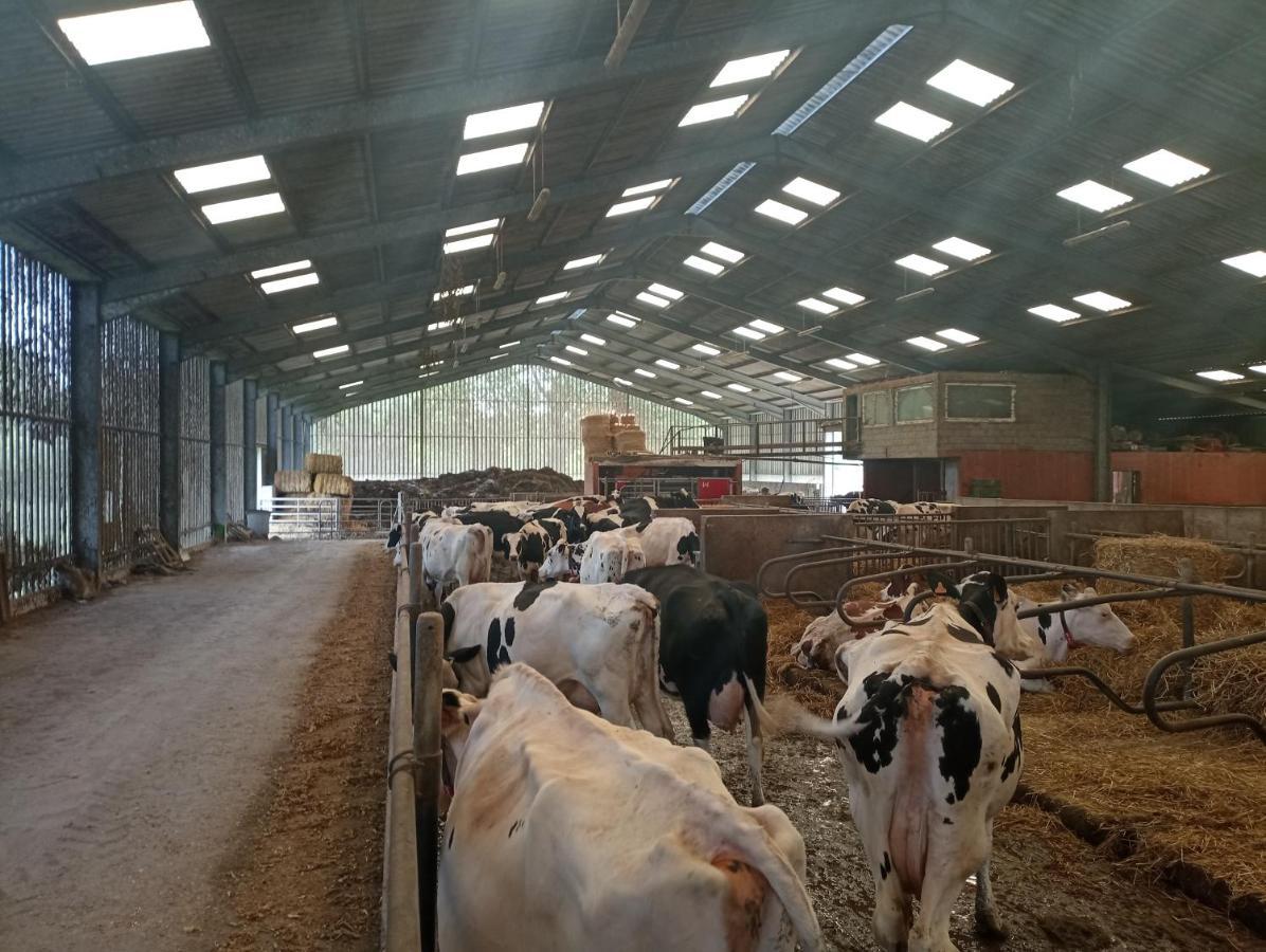 Gite A La Ferme Chez Magali Escaudoeuvres Экстерьер фото