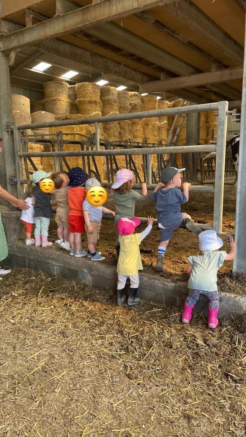 Gite A La Ferme Chez Magali Escaudoeuvres Экстерьер фото